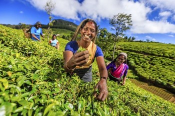 sri lanka